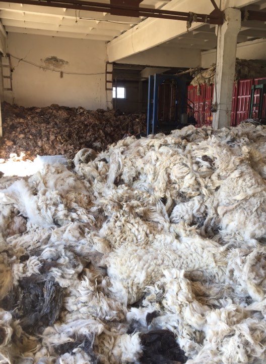 Ungewaschene und schmutzige Wolle mongolischer Schafe ist der wichtigste und einzige Rohstoff unserer Pflanze