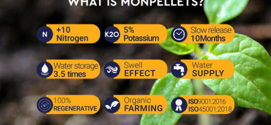 Titel: Monpellets jetzt in der EU bei OneDayInMongolia.eu erhältlich!