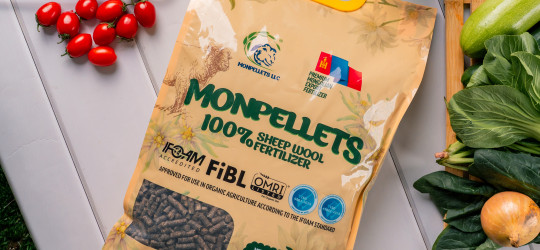 Monpellets Achieves Two Major International Milestones ⭐